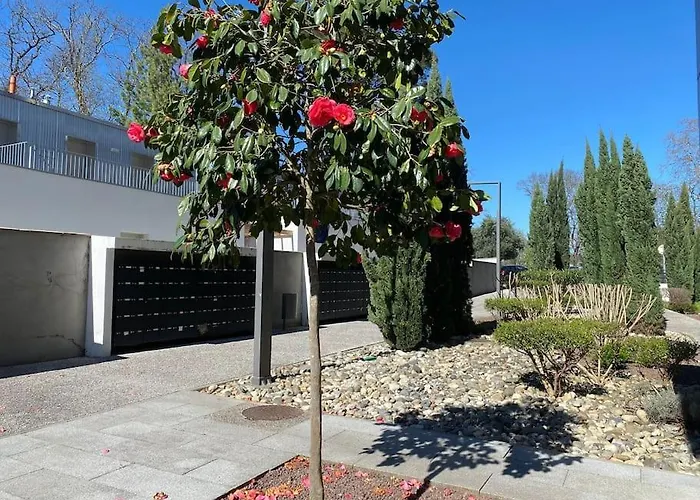 Διαμέρισμα La Griffon - Parking & Balcon Τουλούζη