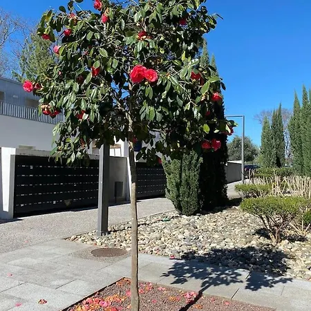 Apartman La Griffon - Parking & Balcon Toulouse